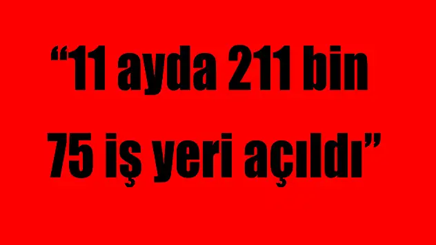 '11 ayda 211 bin 75 iş yeri açıldı'