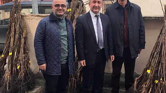 Çiftçilere bin adet ceviz dağıtıldı 