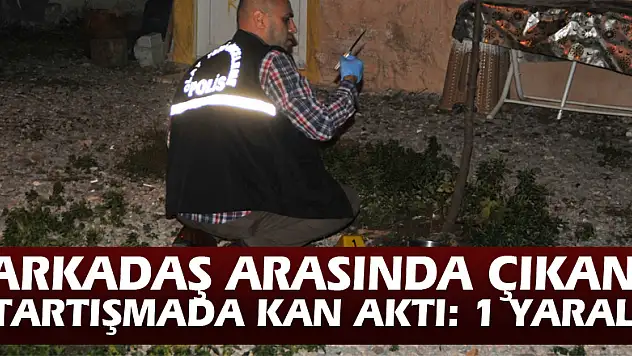 Arkadaş arasında çıkan tartışmada kan aktı: 1 yaralı