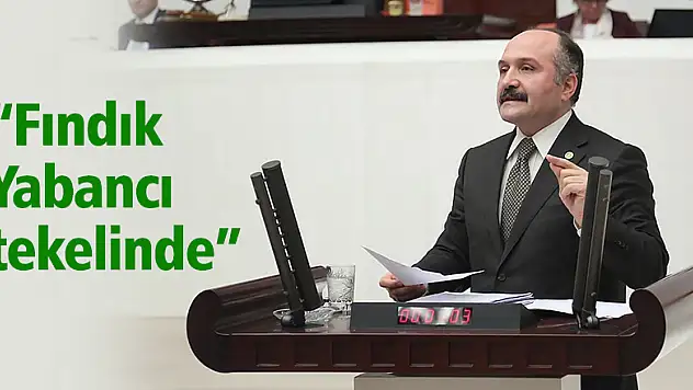 'Fındık Yabancı tekelinde'