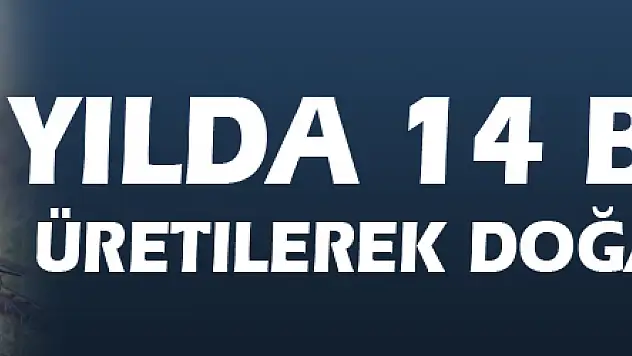 Yılda 14 bin adet üretilerek doğaya salınıyor