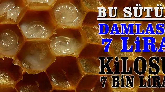 Bu sütün damlası 7 lira, kilosu 7 bin lira