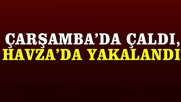 Çarşamba'da çaldı, Havza'da yakalandı