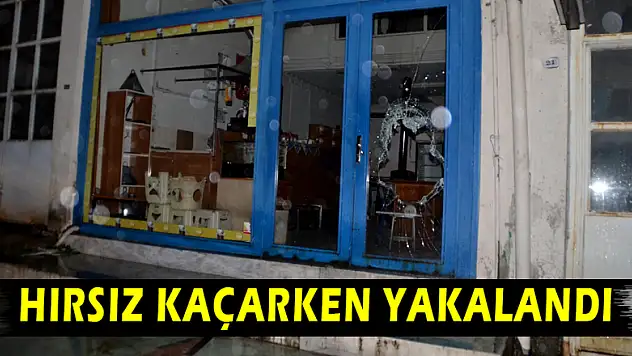 Hırsız kaçarken yakalandı 