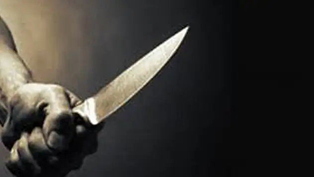 Bıçakla 2 kişiyi yaralayan şahıs yakalandı