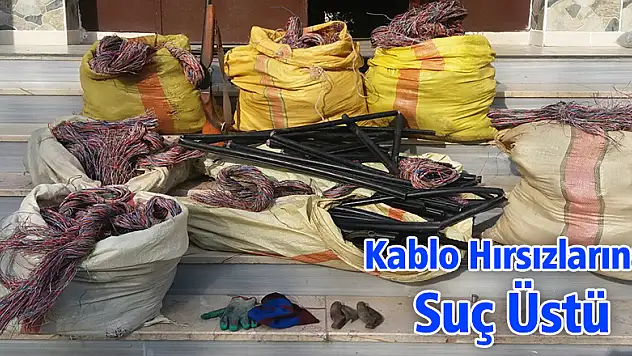 Çuvallar dolusu telefon kablosu çaldılar