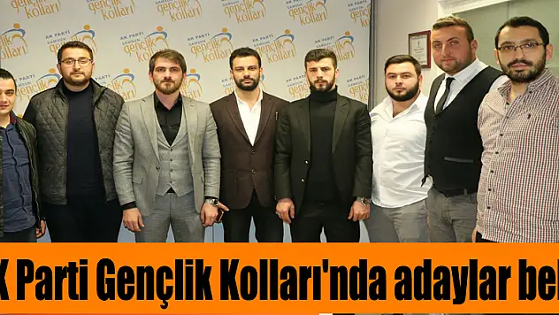 AK Parti Gençlik Kolları'nda adaylar belli oldu
