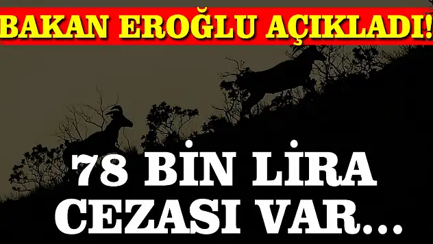 Bakan Eroğlu açıkladı! 78 bin lira cezası var...