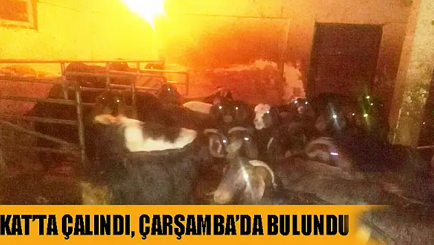 Tokat'ta çalındı, Çarşamba'da bulundu