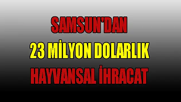 Samsun'dan 23 milyon dolarlık hayvansal ihracat