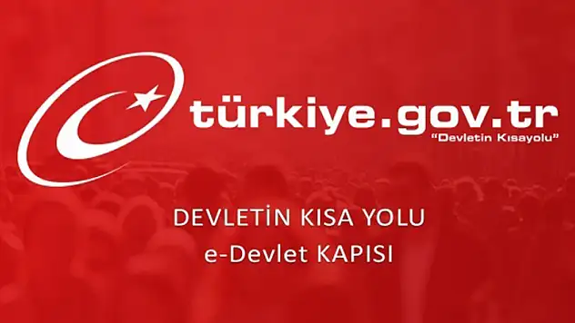 Aracın çekilme nedeni ve otoparkı e-devlet'te