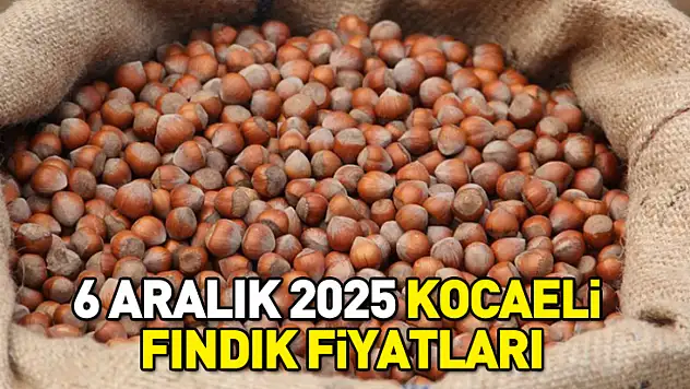 6 Aralık 2025 Kocaeli Fındık Fiyatları | Kandıra'da Premium Fiyatlar Uçuşta!