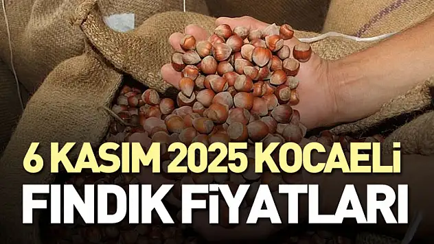 6 Kasım 2025 Kocaeli Fındık Fiyatları: Sanayi Kentinde Fındık Talebi Artıyor! Fabrika Alımları Hızlandı