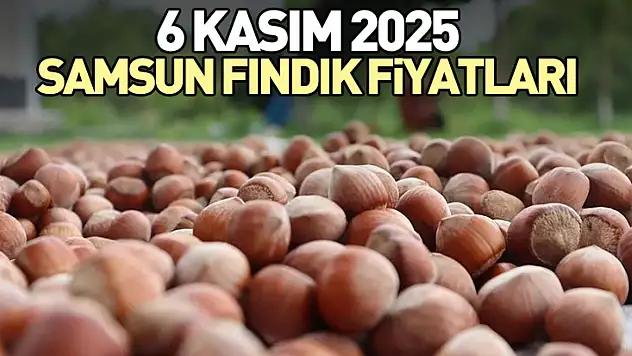 6 Kasım 2025 Samsun Fındık Fiyatları