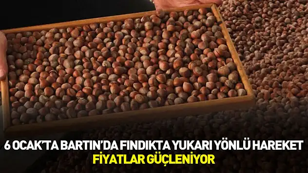 6 Ocak'ta Bartın'da Fındıkta Yukarı Yönlü Hareket: Fiyatlar Güçleniyor