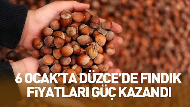 6 Ocak'ta Düzce'de Fındık Fiyatları Güç Kazandı: 280 TL Bandı Görüldü