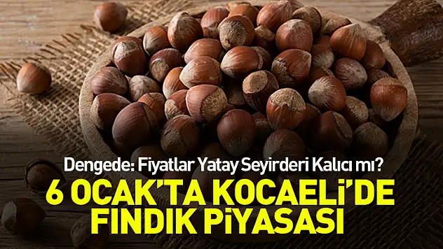 6 Ocak'ta Kocaeli'de Fındık Piyasası Dengede: Fiyatlar Yatay Seyirde