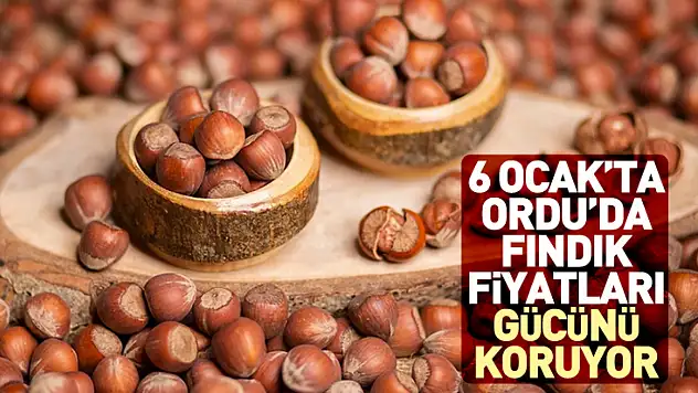 6 Ocak'ta Ordu'da Fındık Fiyatları Gücünü Koruyor: 290 TL Bandı Kalıcı mı?