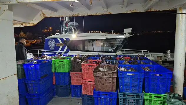 6 ton kaçak kalkan ele geçirildi