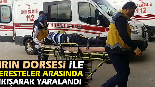 Tırın dorsesi ile keresteler arasında sıkışarak yaralandı