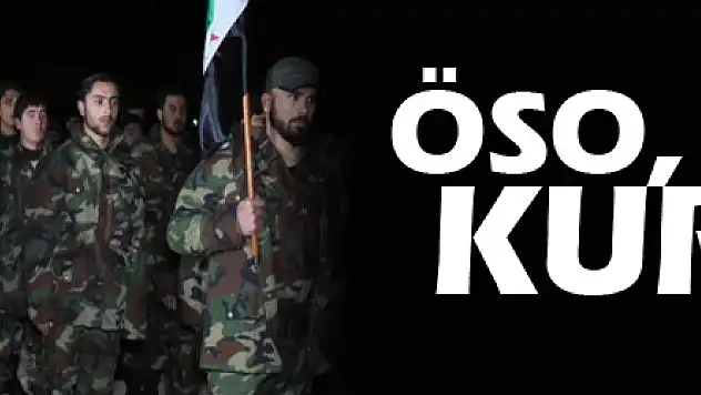 ÖSO, 11 köyü kurtardı