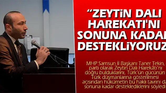 MHP'li Tekin: 'Zeytin Dalı Harekatı'nı sonuna kadar destekliyoruz'