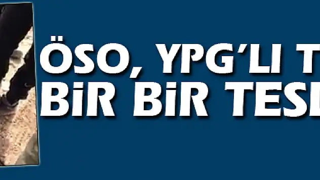 ÖSO, YPG'li teröristleri bir bir teslim alıyor
