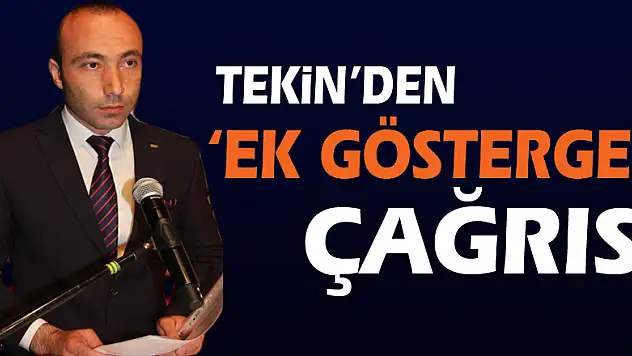 Tekin'den 'ek gösterge' çağrısı