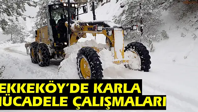 Tekkeköy'de karla mücadele çalışmaları