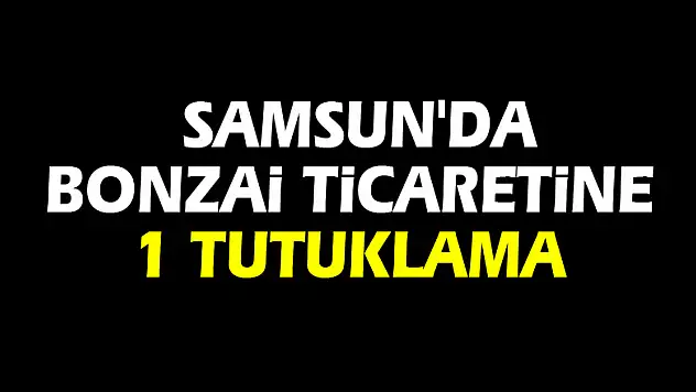 Samsun'da bonzai ticaretine 1 tutuklama