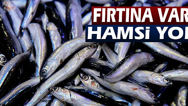Fırtına var, hamsi yok