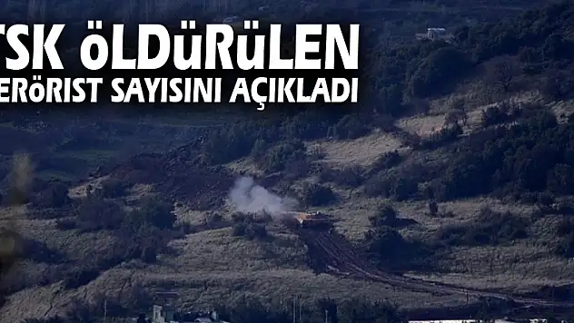 TSK öldürülen terörist sayısını açıkladı