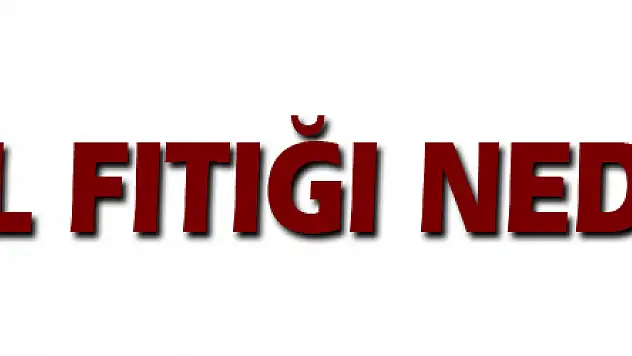 Bel fıtığı neden olur?