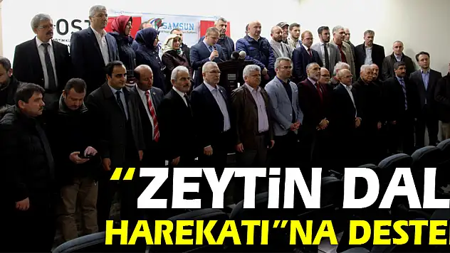 82 STK'dan 'Zeytin Dalı Harekatı'na destek
