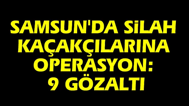 Samsun'da silah kaçakçılarına operasyon: 9 gözaltı