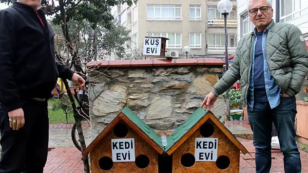 Duyarlı esnaftan sokak hayvanlarına yuva