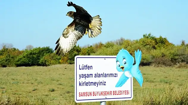 Kızılırmak Deltası Türkiye'de bir ilke imza atıyor