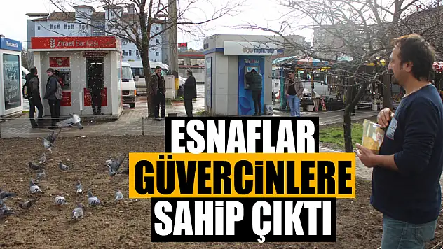 Esnaflar güvercinlere sahip çıktı