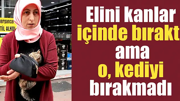 Elini kanlar içinde bıraktı ama o, kediyi bırakmadı