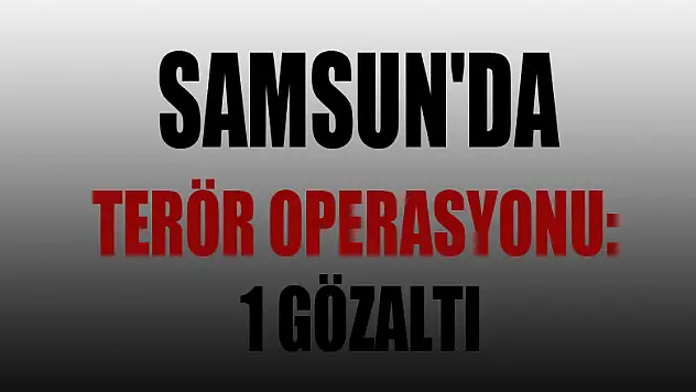Samsun'da terör operasyonu: 1 gözaltı