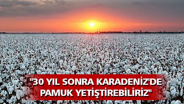 Prof. Dr. Demir: '30 yıl sonra Karadeniz'de pamuk yetiştirebiliriz'