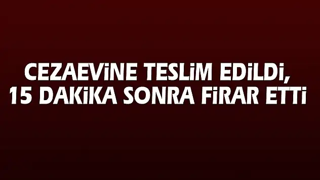 Cezaevine teslim edildi, 15 dakika sonra firar etti