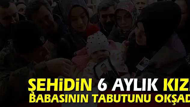 Şehidin 6 aylık kızı babasının tabutunu okşadı