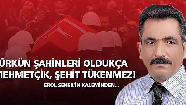 Türk'ün ŞAHİNLERİ oldukça MEHMETÇİK, ŞEHİT TÜKENMEZ...