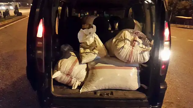 Fındık çuvalları arasında kaçak sigara ele geçti