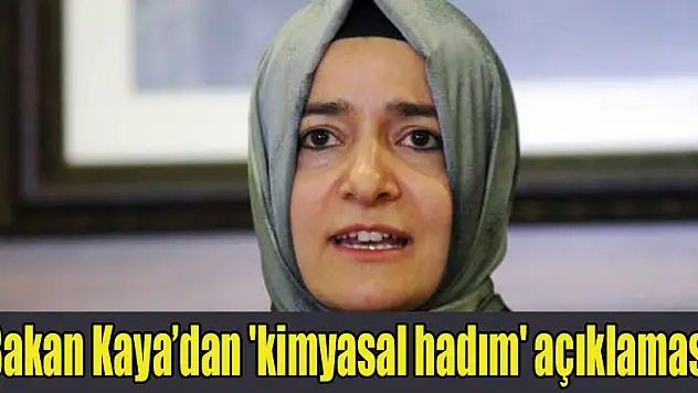 Bakan Kaya'dan 'kimyasal hadım' açıklaması