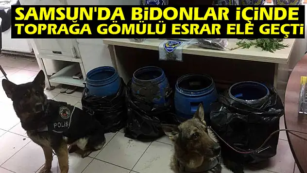 Samsun'da bidonlar içinde toprağa gömülü esrar ele geçti