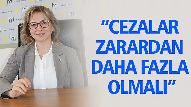 'CEZALAR ZARARDAN DAHA FAZLA OLMALI'