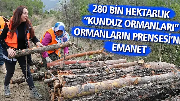 'Ormanların prensesi' 