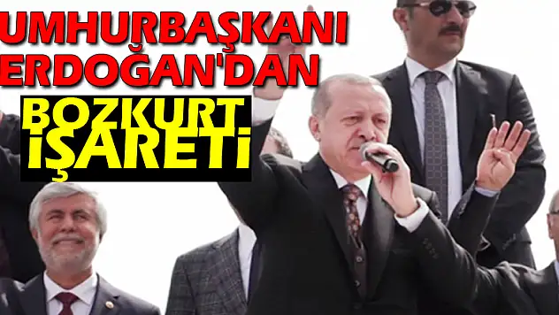 Cumhurbaşkanı Erdoğan'dan Bozkurt işareti